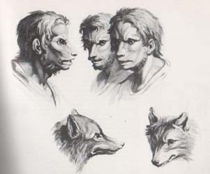loup-garou-lebrun-2