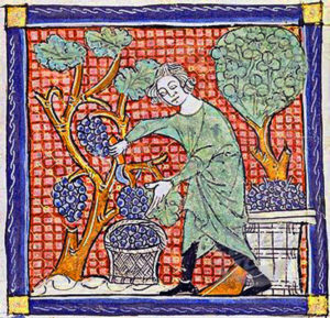 Vendanges_médiévales